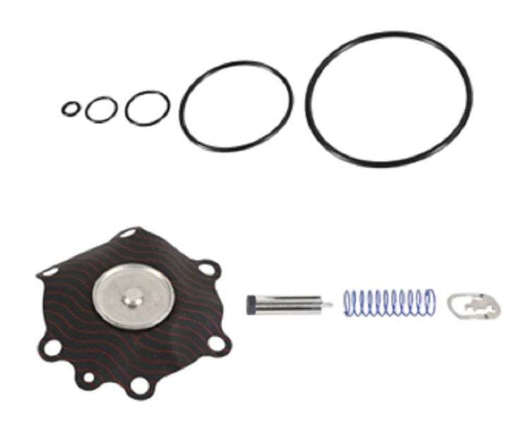 ASCO 099-025 Rebuild Kit