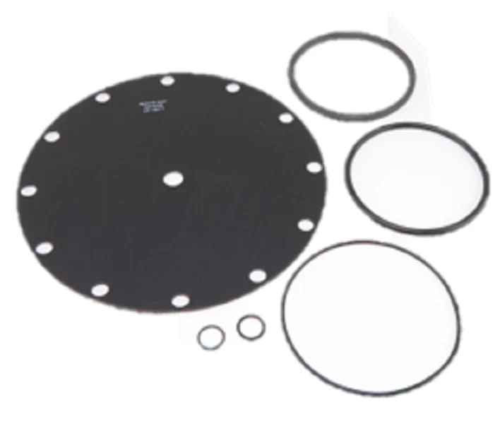 Watts 3401-01 Repair Kit